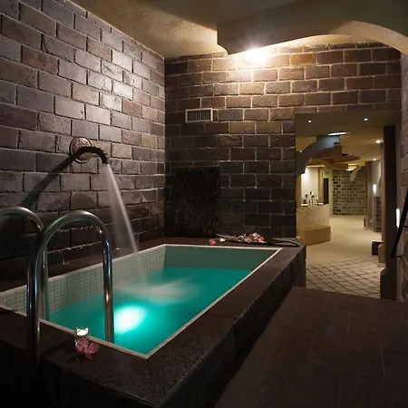 Metropol Wellness & Congress