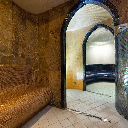 Szálloda Metropol Wellness & Congress 4*