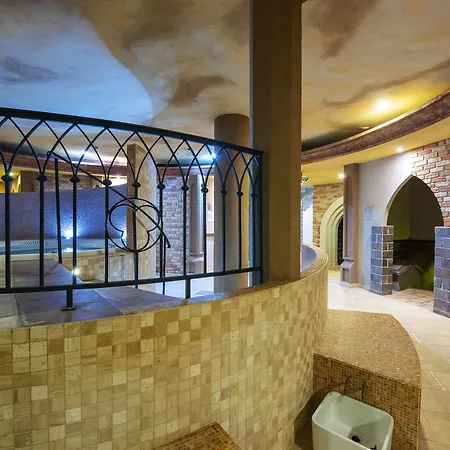 Metropol Wellness & Congress Otel