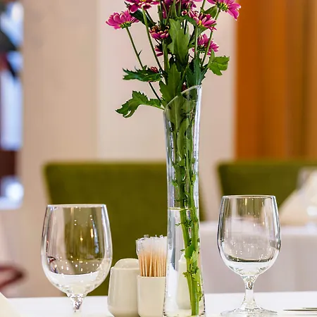 Metropol Wellness & Congress 4*