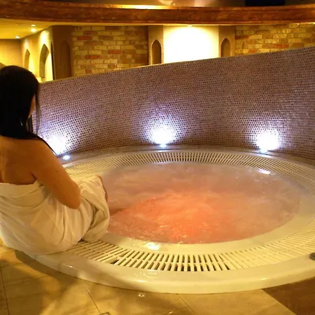 Metropol Wellness & Congress Hotell 4*